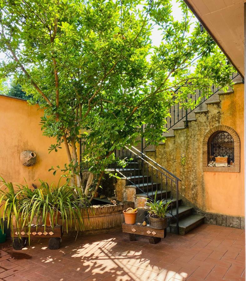 Villa Mariposa Нетуно Екстериор снимка